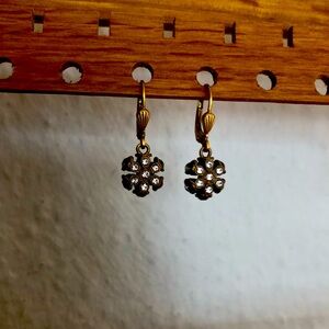 Crystal clasp Earrings